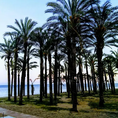 Apartamento A Pie De La Playa La Scala